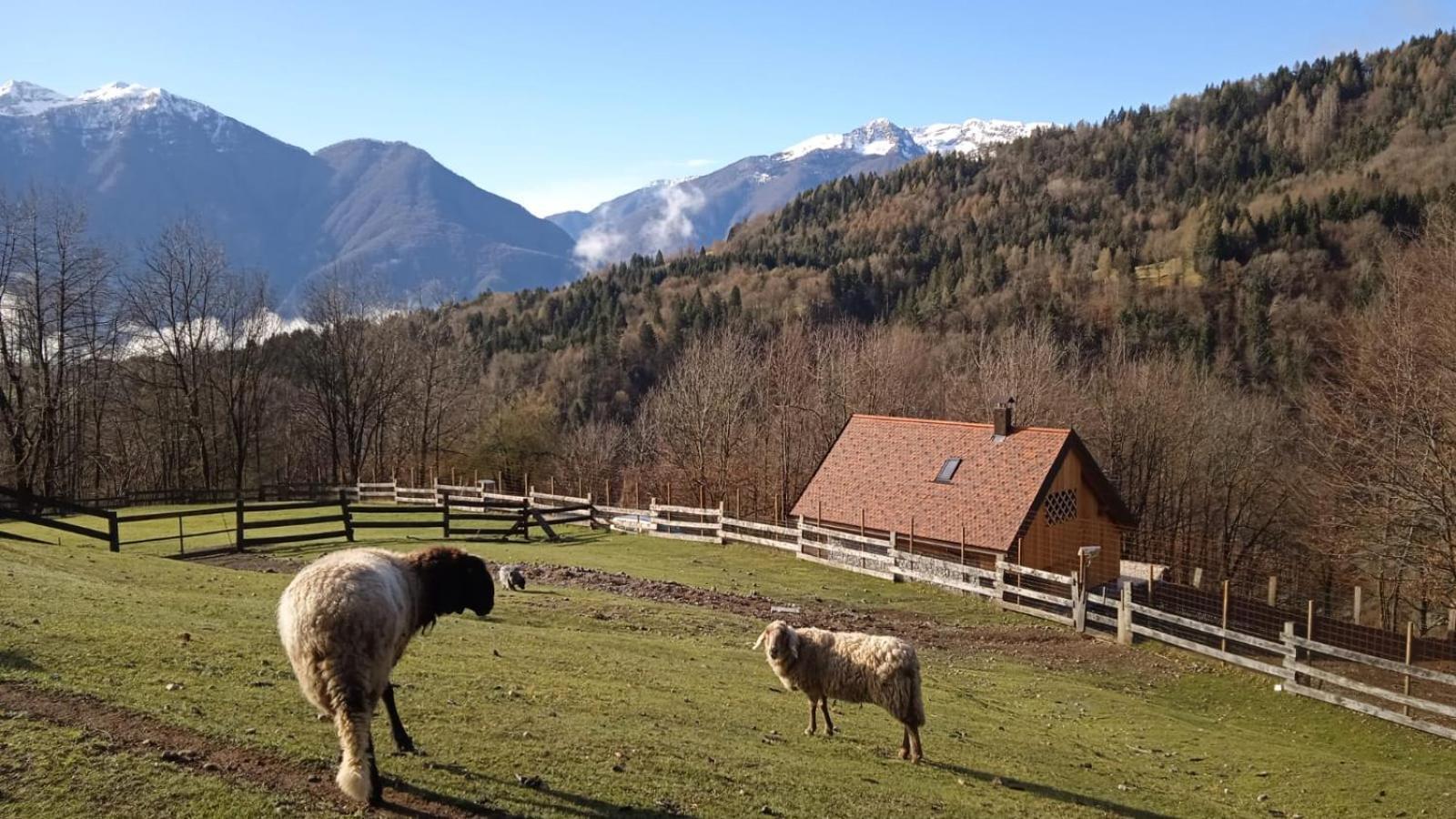 Chalet Navauce Raveo Zewnętrze zdjęcie